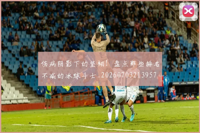 伤病阴影下的坚韧！盘点那些排名不减的冰球斗士_20260703213957