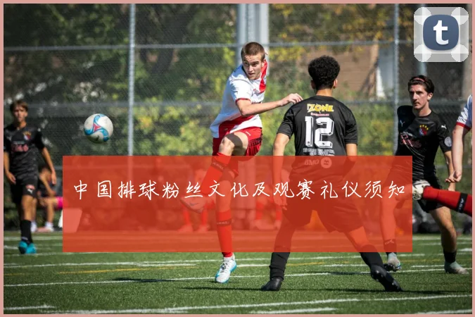 中国排球粉丝文化及观赛礼仪须知