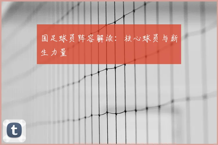 国足球员阵容解读：核心球员与新生力量